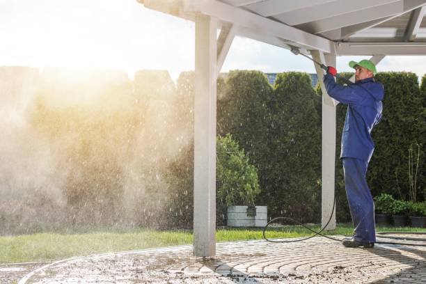 Best Spring Cleaning  in Hancock, MI